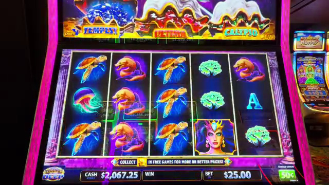 Ruleta en Vivo Online: Reglas y Características Principales